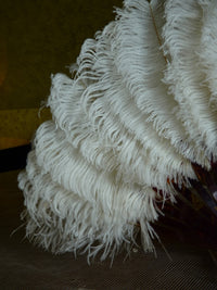 Kleiner Hochzeitsfächer aus Straußenfedern, ca. 1895