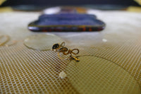 Brille mit Etui, ca. 1890