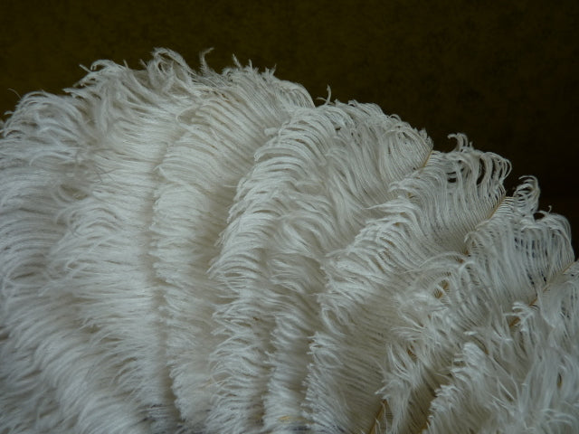 Kleiner Hochzeitsfächer aus Straußenfedern, ca. 1895