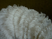 Kleiner Hochzeitsfächer aus Straußenfedern, ca. 1895