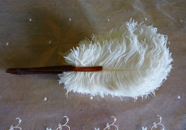 Kleiner Hochzeitsfächer aus Straußenfedern, ca. 1895