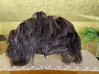 Schwarzer Fächer aus Straußenfedern, Frankreich, ca. 1900