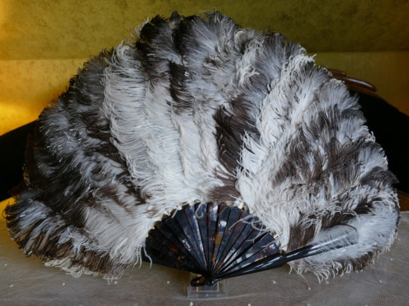 Braun-weißer Fächer aus Straußenfedern, ca. 1900